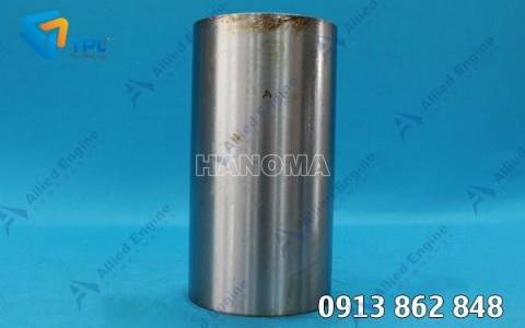 Xi lanh CAT 3066T - 5l 7523